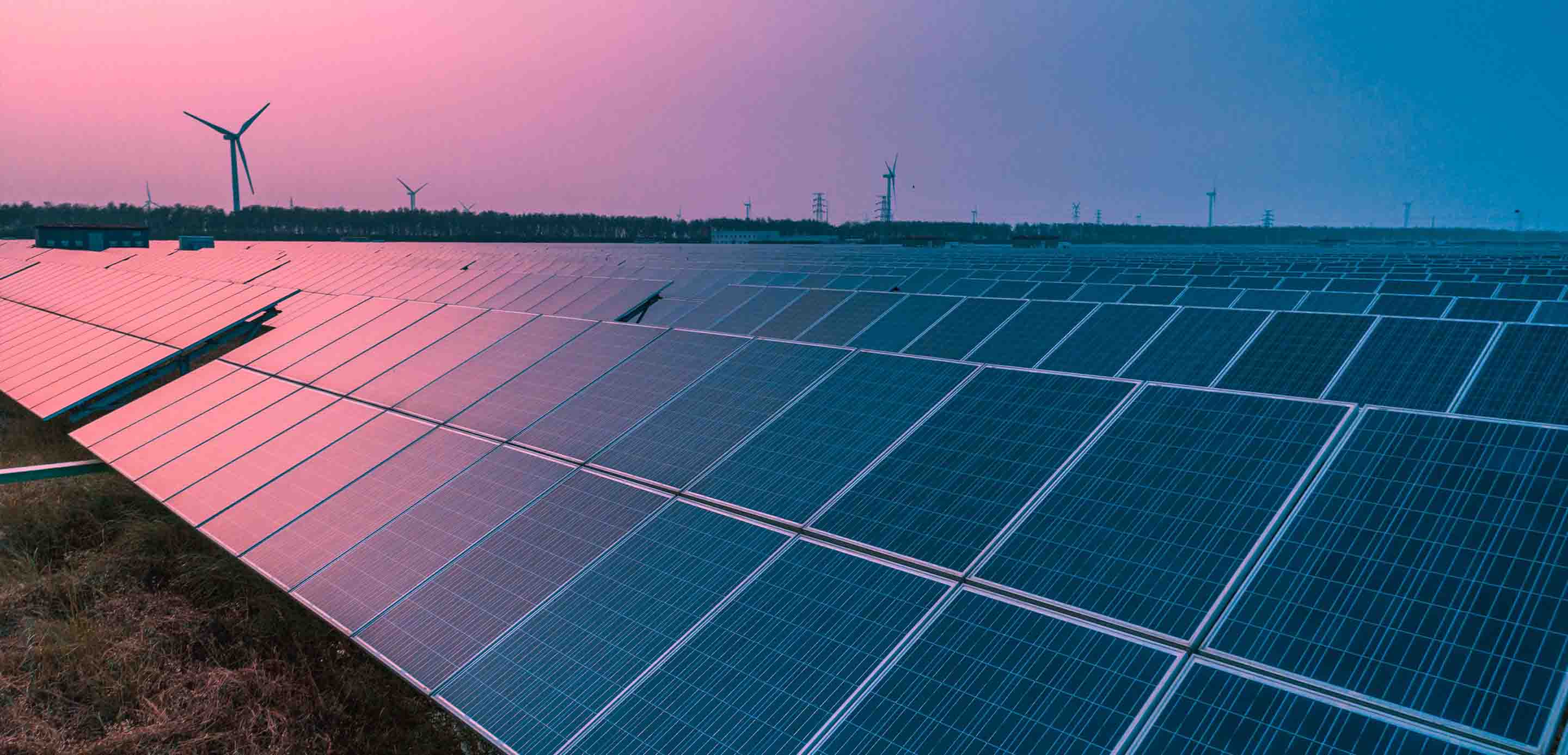 Sustainability for business in Mauritius