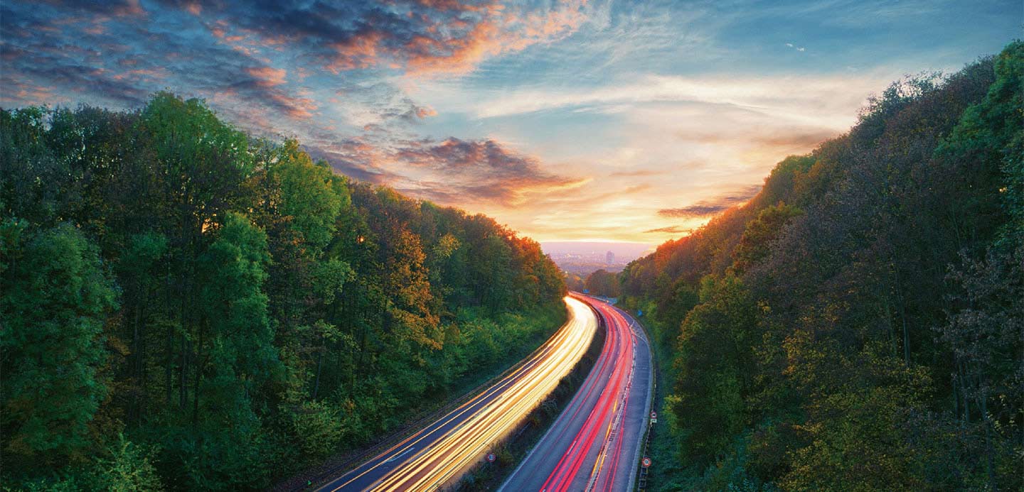 highway surrounded by forest
